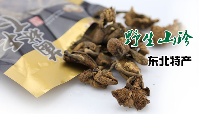马达保护器